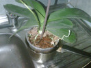 IMG00384