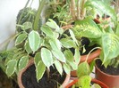 DSCN2651