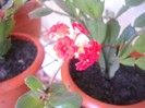 DSCN2653
