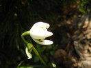 2012, March 23