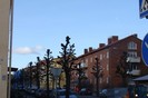 DSC05918