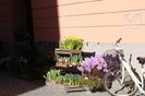 DSC06004