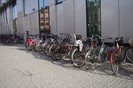 DSC06088