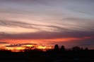 DSC06135