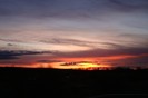 DSC06137
