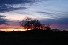 DSC06149
