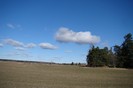 DSC06202