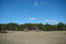 DSC06214