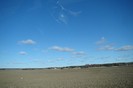 DSC06215