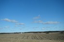 DSC06216