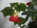 poze 2348
