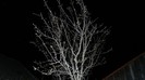 DSCN0293
