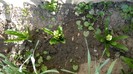 DSCN0326