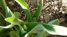 DSCN0330