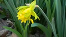 DSCN0336