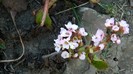 DSCN0338