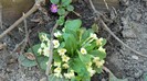 DSCN0341