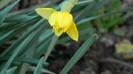 DSCN0344