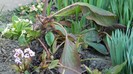 DSCN0359
