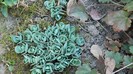 DSCN0370