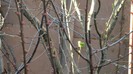 DSCN0372