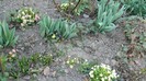 DSCN0386