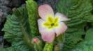 DSCN0389