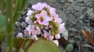 DSCN0390