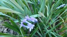 DSCN0414