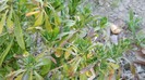 DSCN0421