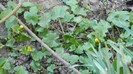 DSCN0426