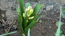 DSCN0427