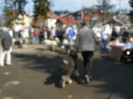 P1120154