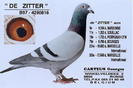 Carteus-De-Zitter