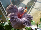 P1120155