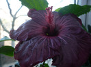 P1120184