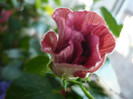 P1120186