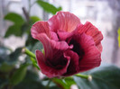 P1120207