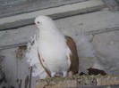 PIC_0063