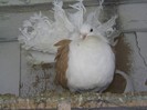 PIC_0064