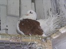 PIC_0065