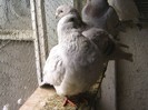 PIC_0074
