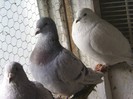 PIC_0075