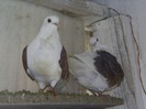 PIC_0076