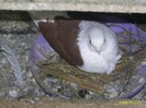 PIC_00511