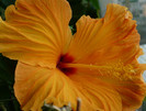 P1370675
