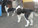 20120320_182514