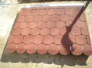 DSCN3984