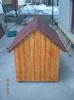 DSCN4118