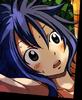 Levy